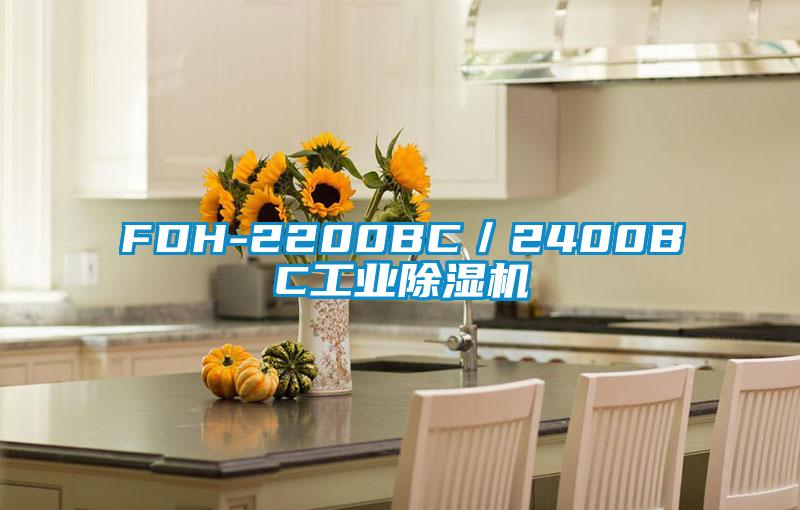 FDH-2200BC/2400BC工業(yè)除濕機(jī)