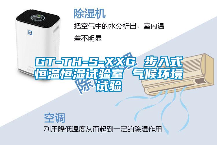 GT-TH-S-XXG 步入式恒溫恒濕試驗室 氣候環境試驗