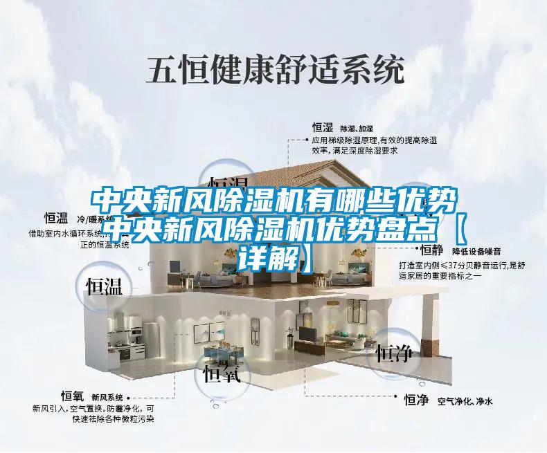 中央新風(fēng)除濕機(jī)有哪些優(yōu)勢(shì) 中央新風(fēng)除濕機(jī)優(yōu)勢(shì)盤點(diǎn)【詳解】