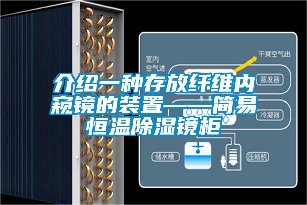 介紹一種存放纖維內(nèi)窺鏡的裝置——簡易恒溫除濕鏡柜