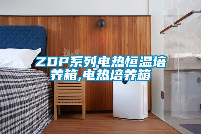 ZDP系列電熱恒溫培養箱,電熱培養箱