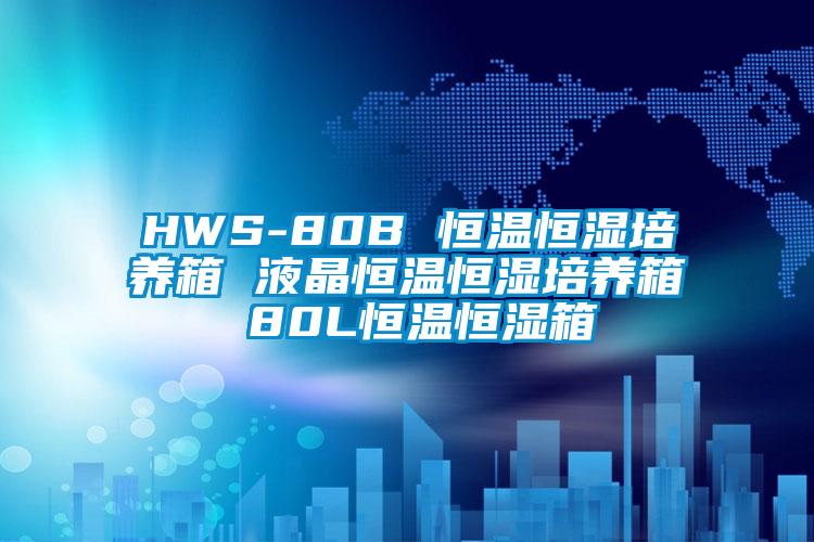 HWS-80B 恒溫恒濕培養(yǎng)箱 液晶恒溫恒濕培養(yǎng)箱 80L恒溫恒濕箱