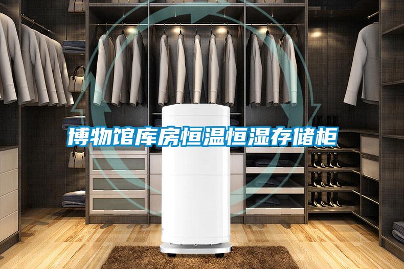 博物館庫房恒溫恒濕存儲柜