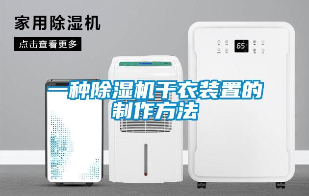 一種除濕機(jī)干衣裝置的制作方法