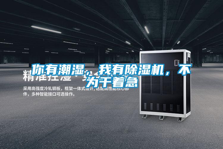 你有潮濕,我有除濕機,不為干著急