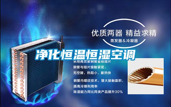 凈化恒溫恒濕空調(diào)