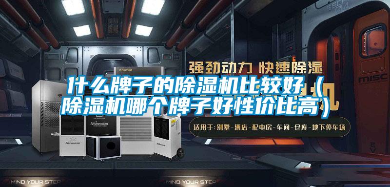 什么牌子的除濕機比較好（除濕機哪個牌子好性價比高）