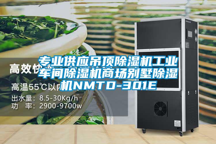 專業供應吊頂除濕機工業車間除濕機商場別墅除濕機NMTD-301E