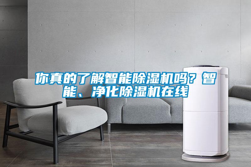 你真的了解智能除濕機嗎？智能、凈化除濕機在線