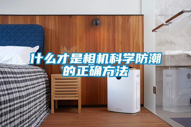 什么才是相機科學防潮的正確方法