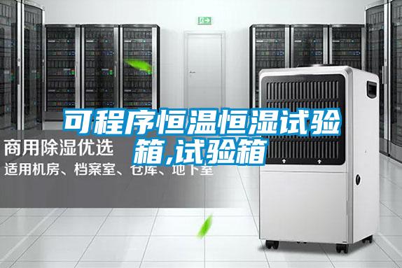 可程序恒溫恒濕試驗箱,試驗箱