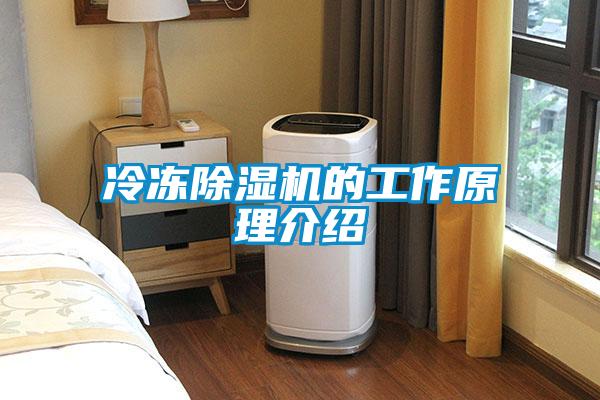 冷凍除濕機的工作原理介紹