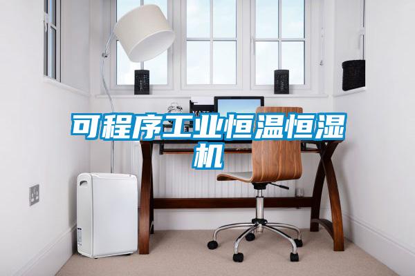 可程序工業恒溫恒濕機