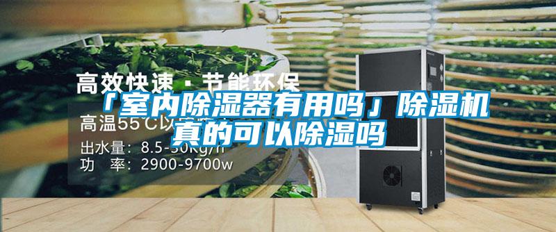 「室內除濕器有用嗎」除濕機真的可以除濕嗎