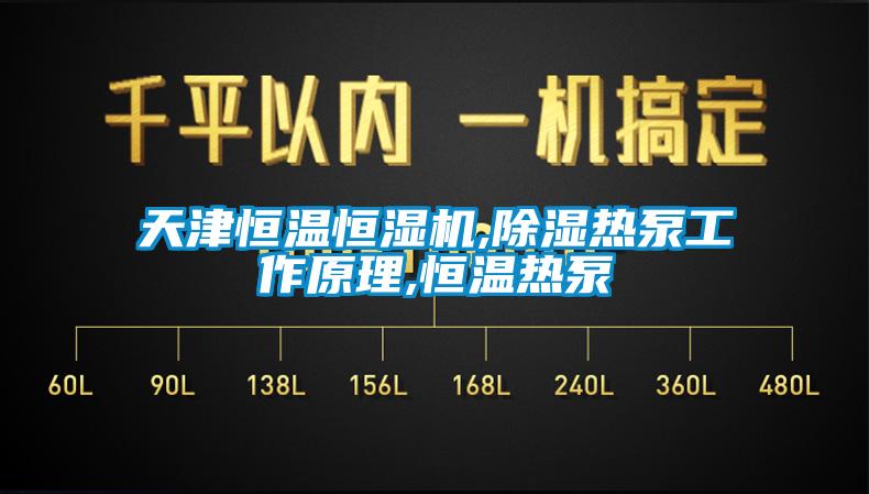 天津恒溫恒濕機,除濕熱泵工作原理,恒溫?zé)岜?/></p>
<p style=