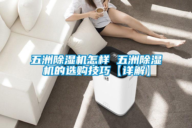 五洲除濕機(jī)怎樣 五洲除濕機(jī)的選購技巧【詳解】