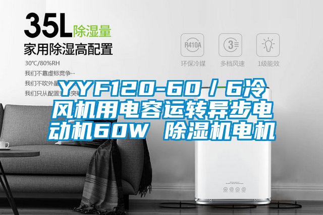 YYF120-60／6冷風(fēng)機(jī)用電容運(yùn)轉(zhuǎn)異步電動機(jī)60W 除濕機(jī)電機(jī)