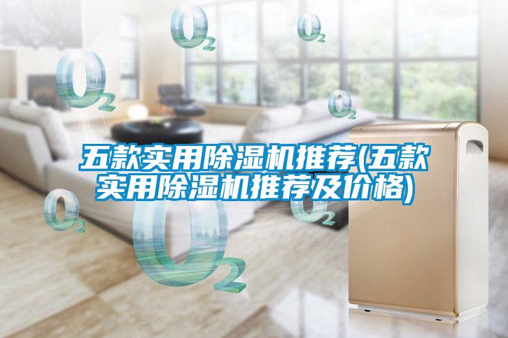 五款實(shí)用除濕機(jī)推薦(五款實(shí)用除濕機(jī)推薦及價格)