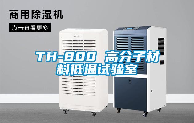 TH-800 高分子材料低溫試驗(yàn)室