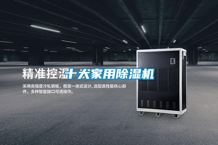 十大家用除濕機