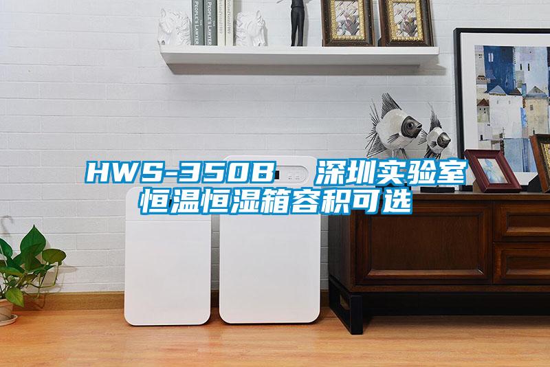 HWS-350B 深圳實驗室恒溫恒濕箱容積可選