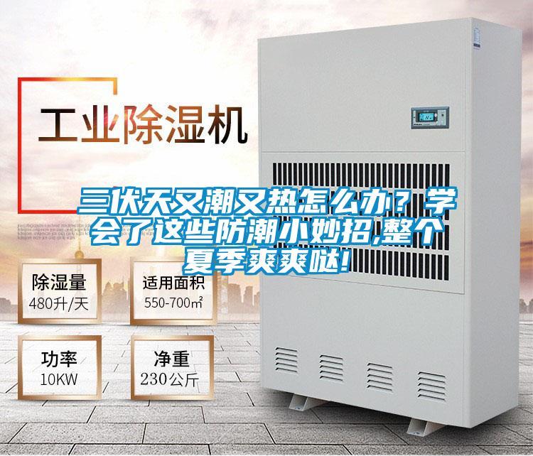 三伏天又潮又熱怎么辦?學會了這些防潮小妙招,整個夏季爽爽噠!