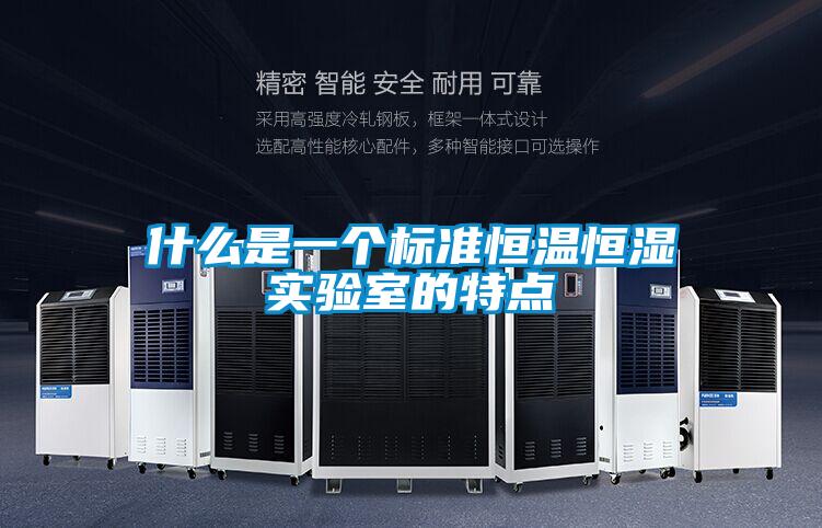 什么是一個標準恒溫恒濕實驗室的特點