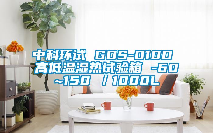 中科環試 GDS-010D 高低溫濕熱試驗箱 -60~150℃/1000L