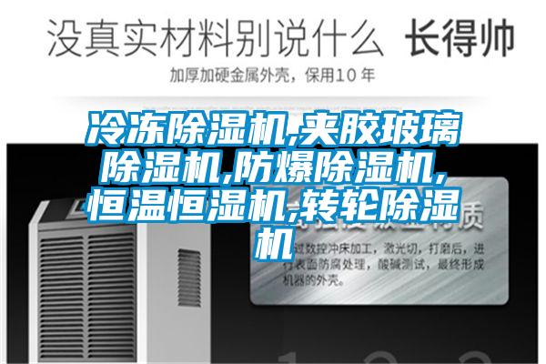 冷凍除濕機,夾膠玻璃除濕機,防爆除濕機,恒溫恒濕機,轉輪除濕機