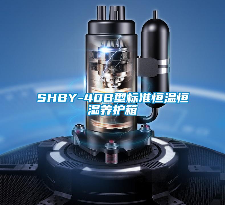 SHBY-40B型標準恒溫恒濕養護箱