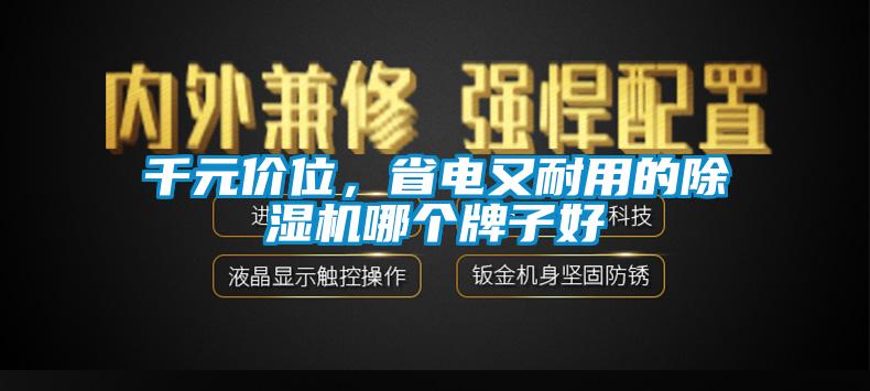 千元價位,省電又耐用的除濕機哪個牌子好