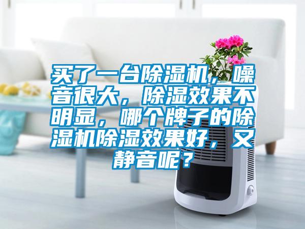 買了一臺(tái)除濕機(jī)，噪音很大，除濕效果不明顯，哪個(gè)牌子的除濕機(jī)除濕效果好，又靜音呢？