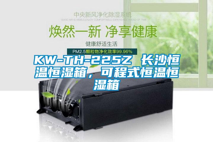 KW-TH-225Z 長(zhǎng)沙恒溫恒濕箱,可程式恒溫恒濕箱
