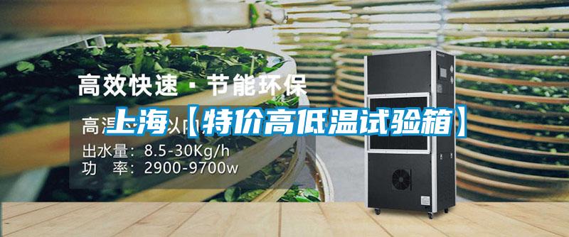 上海【特價高低溫試驗箱】