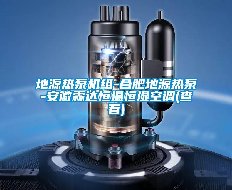 地源熱泵機(jī)組-合肥地源熱泵-安徽霖達(dá)恒溫恒濕空調(diào)(查看)