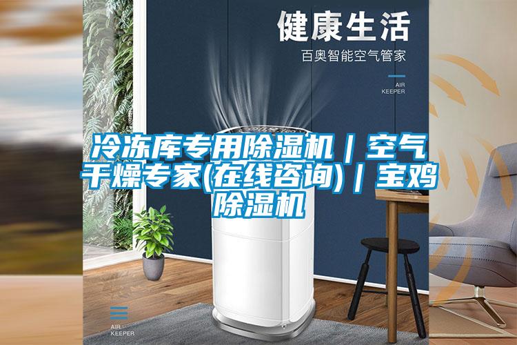 冷凍庫專用除濕機｜空氣干燥專家(在線咨詢)｜寶雞除濕機