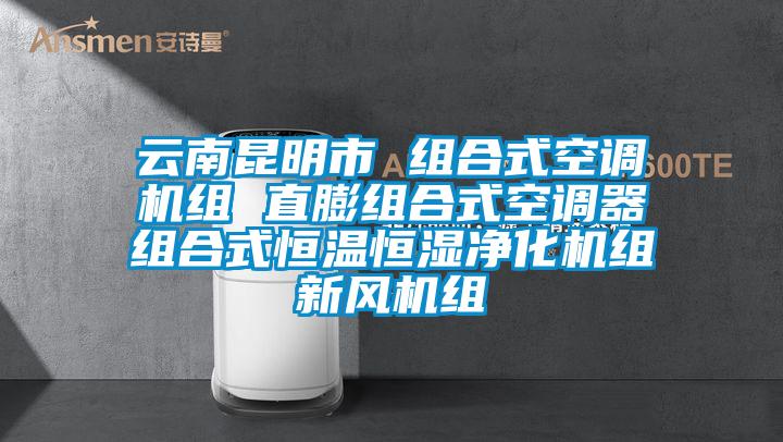 云南昆明市 組合式空調機組 直膨組合式空調器組合式恒溫恒濕凈化機組新風機組