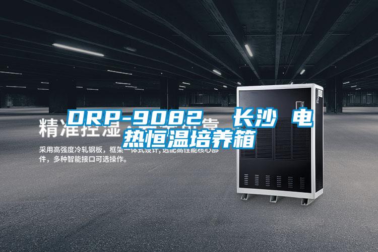 DRP-9082  長沙 電熱恒溫培養箱