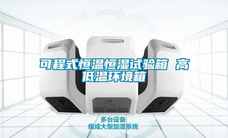 可程式恒溫恒濕試驗箱 高低溫環境箱