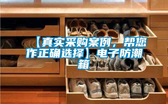 【真實采購案例，幫您作正確選擇】電子防潮箱