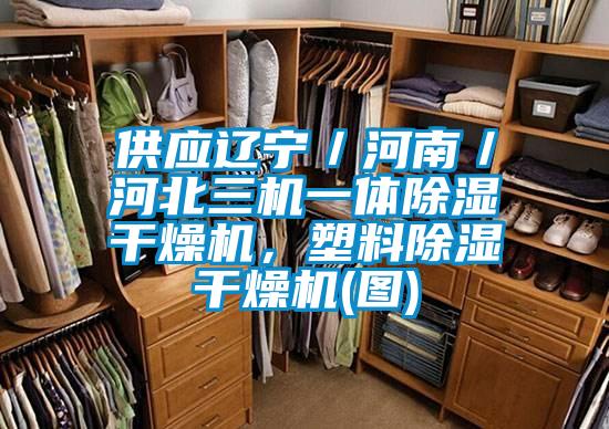 供應遼寧/河南/河北三機一體除濕干燥機,塑料除濕干燥機(圖)