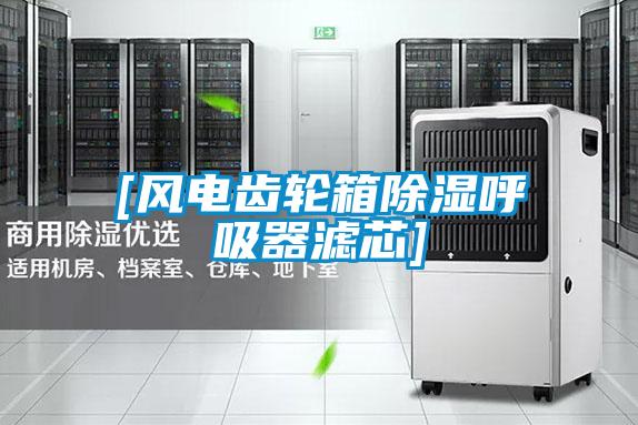 [風(fēng)電齒輪箱除濕呼吸器濾芯]