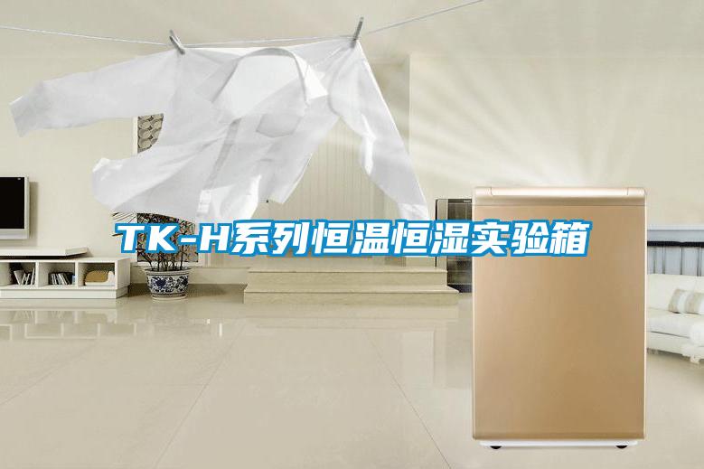 TK-H系列恒溫恒濕實驗箱