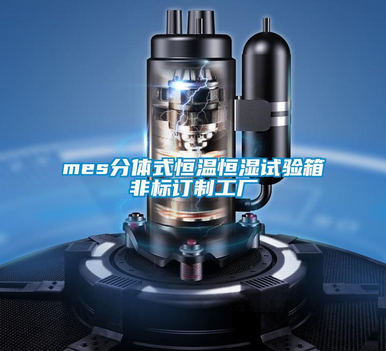 mes分體式恒溫恒濕試驗箱非標(biāo)訂制工廠