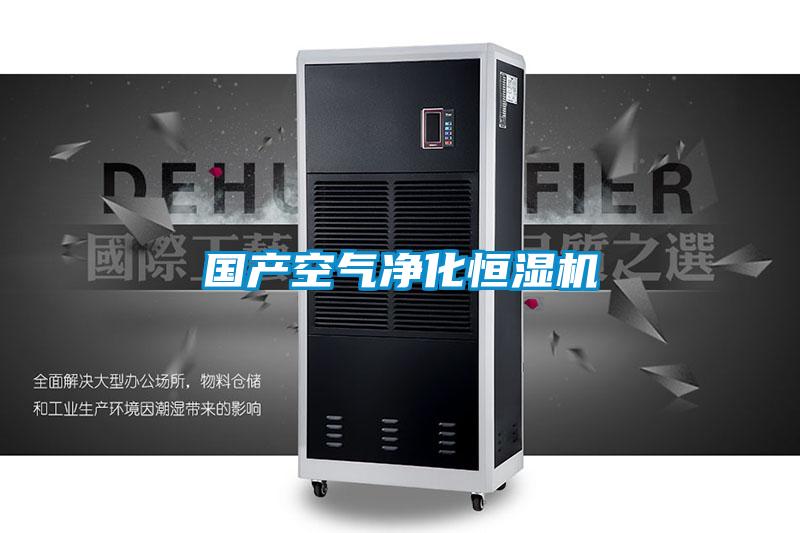 國產空氣凈化恒濕機