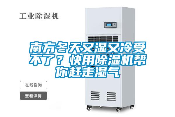 南方冬天又濕又冷受不了?快用除濕機幫你趕走濕氣