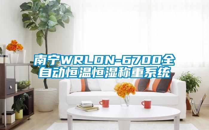 南寧WRLDN-6700全自動恒溫恒濕稱重系統(tǒng)