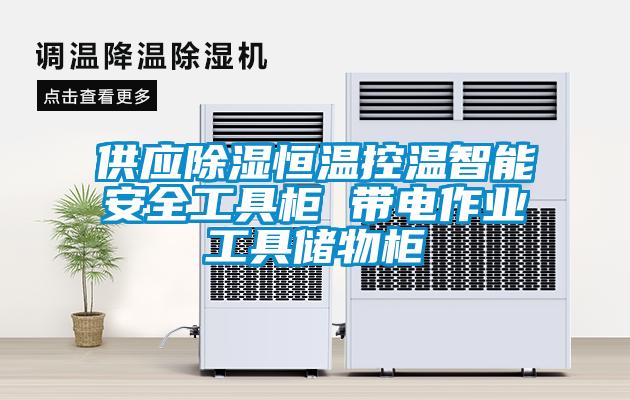 供應除濕恒溫控溫智能安全工具柜 帶電作業工具儲物柜