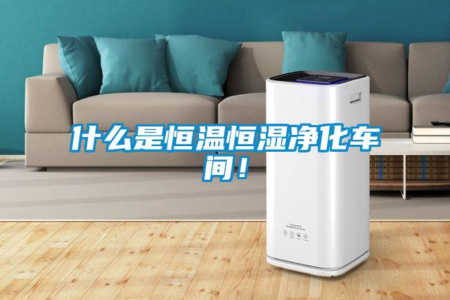 什么是恒溫恒濕凈化車間！