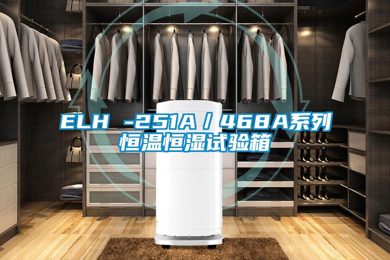 ELH -251A/468A系列恒溫恒濕試驗(yàn)箱